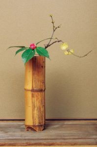 1月 素心蝋梅・太神楽椿