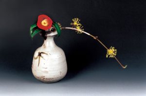 3月　藪椿・山茱萸