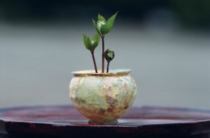 4月 一人静