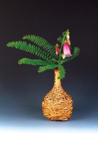 6月　蛍袋・孔雀しだ