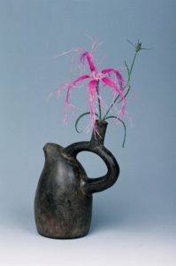 7月　伊勢撫子