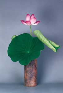 8月 蓮