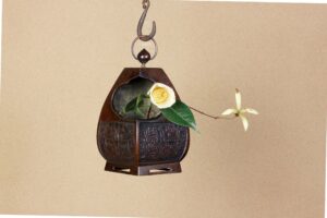 白妙蓮寺椿・突羽根