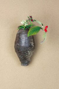 花水木の実・鵯花・千日小坊