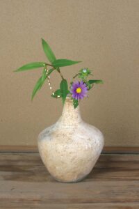 白花桜蓼・蝦夷菊