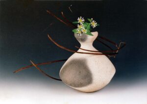 木豆尌・筒咲さき野紺菊