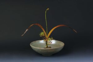 落葉松 ・紫蘭の実