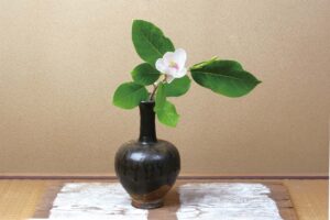 大山蓮華