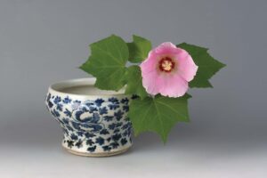 芙蓉