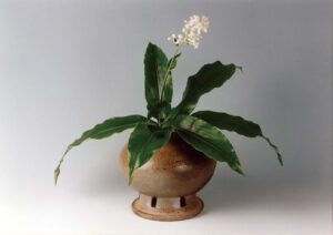 藪茗荷