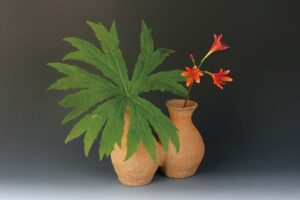狐の剃刀・破れ傘